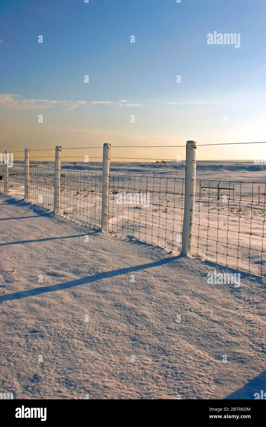 Aufnahmen im Schnee Stockfoto