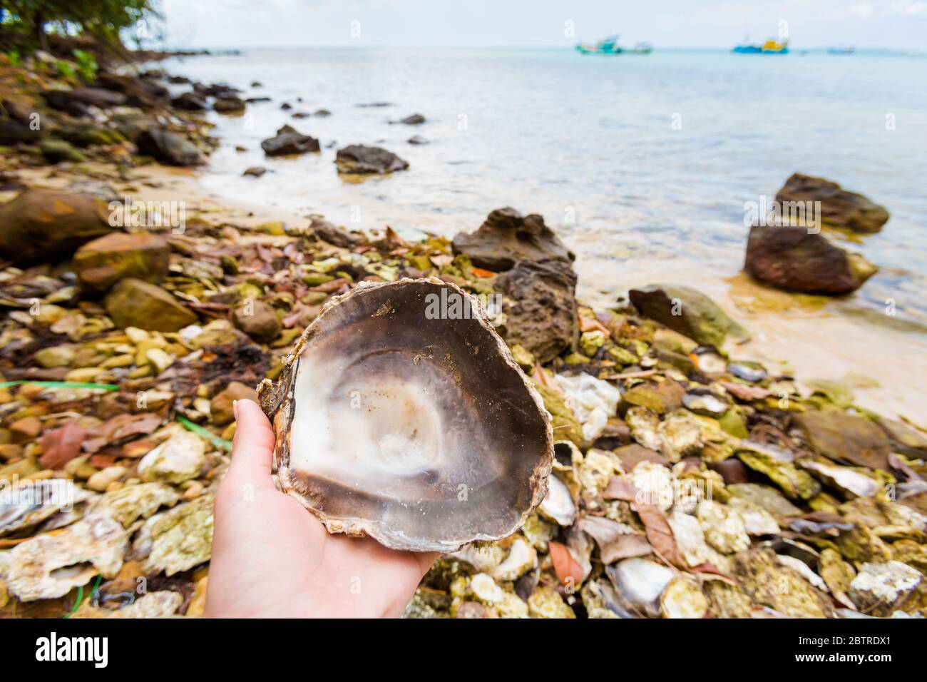 Seashell auf lokalen wunderschönen Fischerdorf und Strand Ganh Dau (Kap), tropische Phu Quoc Insel in Vietnam. Landschaft aufgenommen während sonnigen Tag mit b Stockfoto