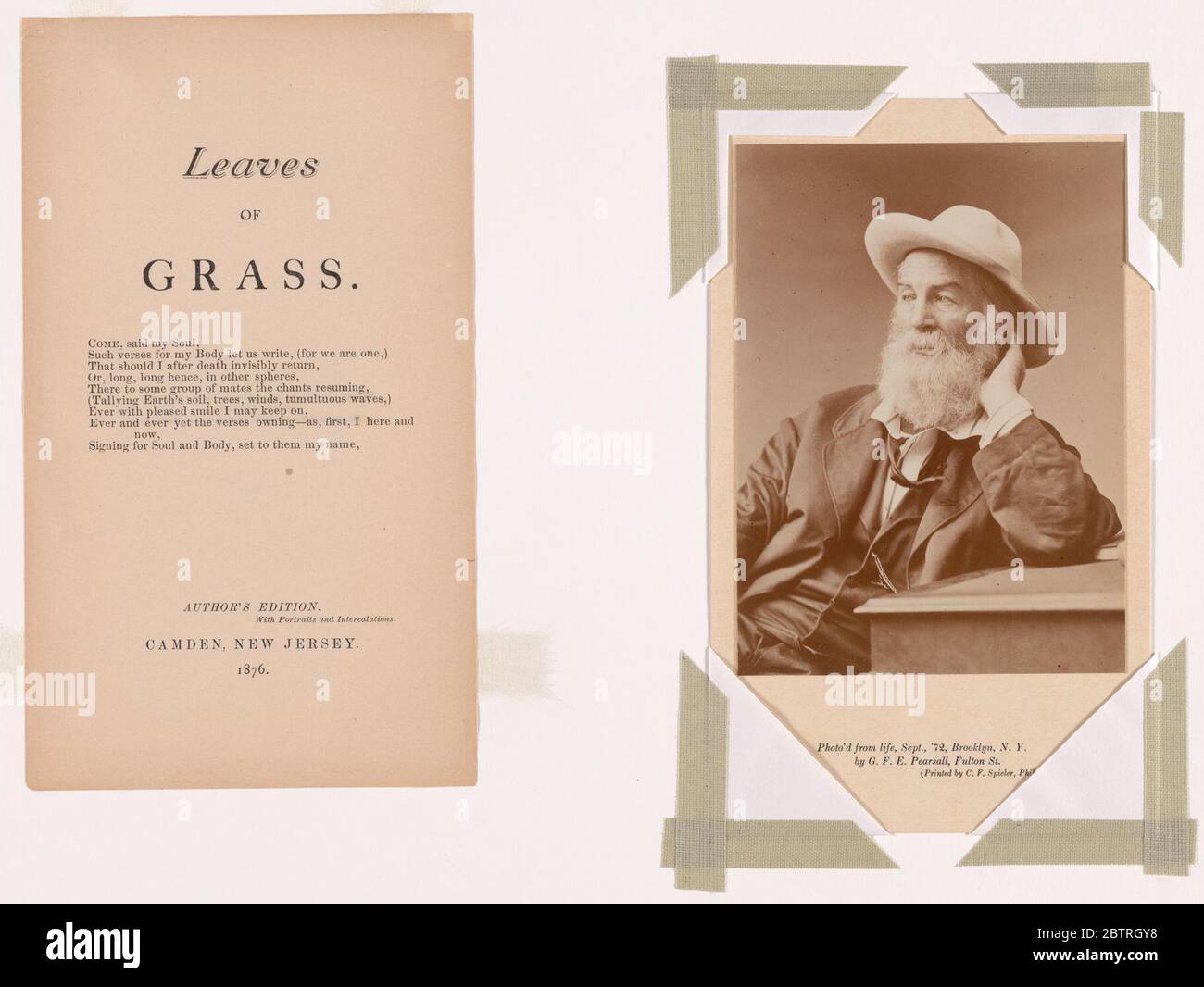 Walt Whitman. Walt Whitman schuf einen deutlich amerikanischen Vers und trat die Türen und Pfosten der vornehme anglo-amerikanische Literatur herunter und nahm Poesie hinaus in die Straßen und Straßen einer turbulenten und expansiven Demokratie. Stockfoto