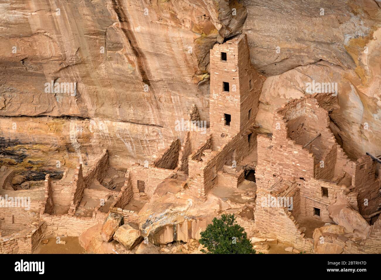 CO00244-00...COLORADO - Square Tower House, vor über 700 Jahren von den Vorfahren Puebloans, heute Teil des Mesa Verde National Park gebaut. Stockfoto