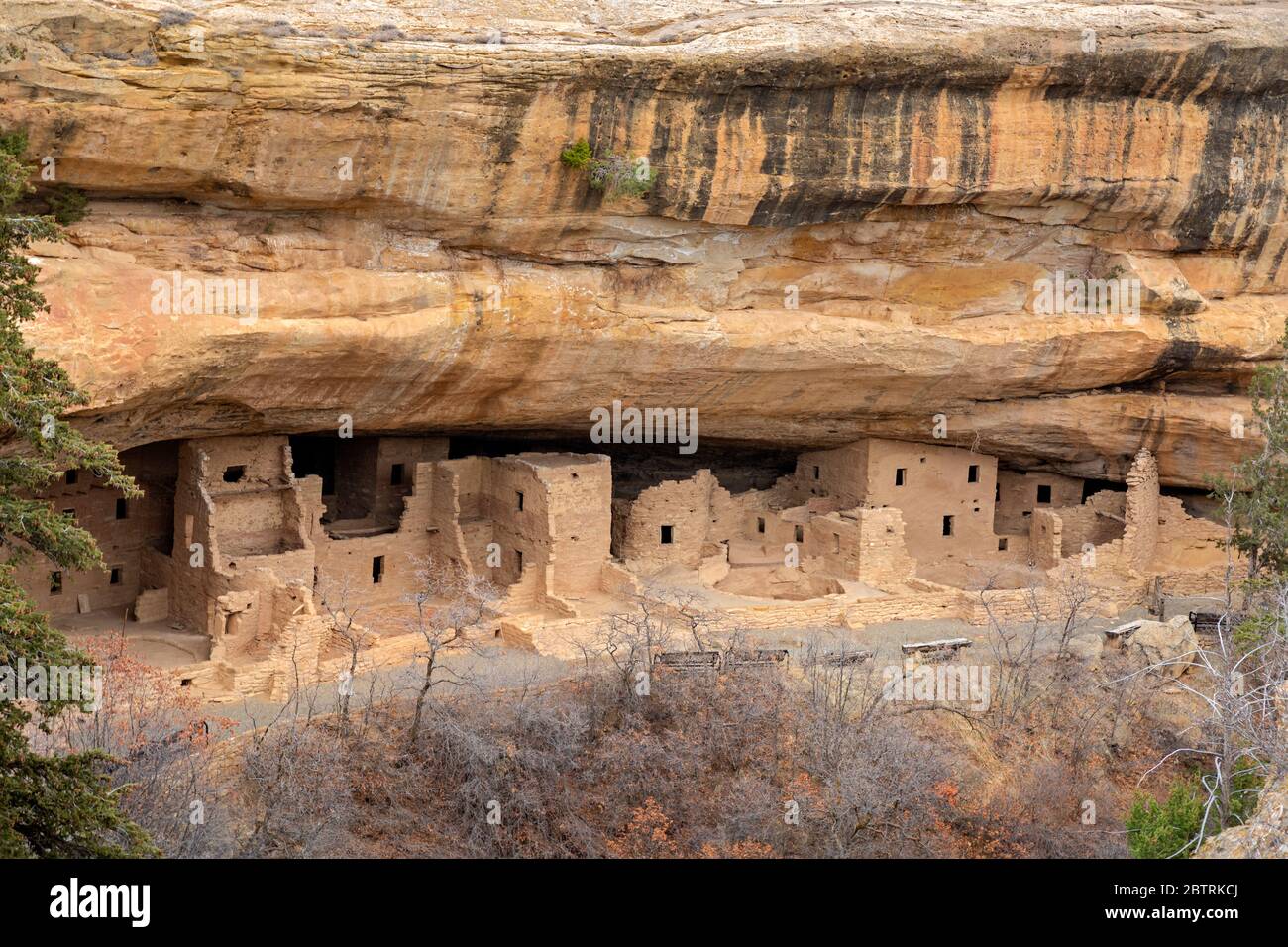 CO00268...COLORADO - Fichte Baumhaus gebaut von den Vorfahren Puebloans in einer tiefen Nische vor über 700 Jahren; jetzt in Mesa Verde Nationalpark. Stockfoto