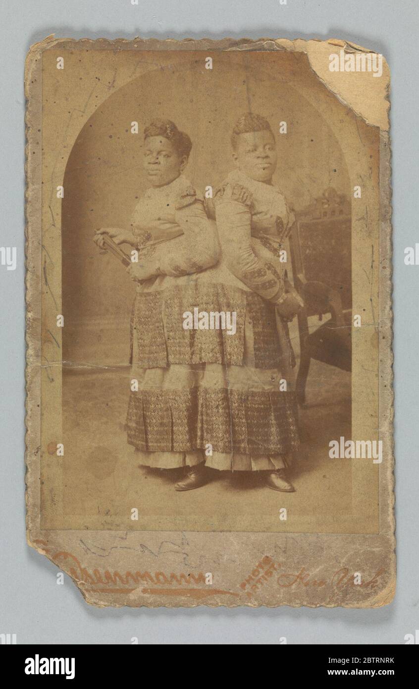 Albumendruck von Millie und Christine McCoy. Ein fotografischer Druck von den Frauen Millie und Christine McCoy. Auf dem Foto stehen die Frauen vor der Kamera. Sie tragen ein langärmeliges Kleid mit einem langen Rock. Der Rock hat zwei Schichten zusätzlichen Stoff in Ebenen, die die Breite der Frauen dehnen. Stockfoto