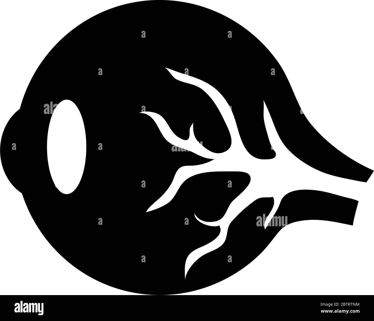 Äußere Muskeln Auge, Menschlicher Eyeball. Abbildung des Symbols für flache Vektorgrafik. Einfaches schwarzes Symbol auf weißem Hintergrund. Äußere Muskeln Auge, menschliche Eyeball SIG Stock Vektor
