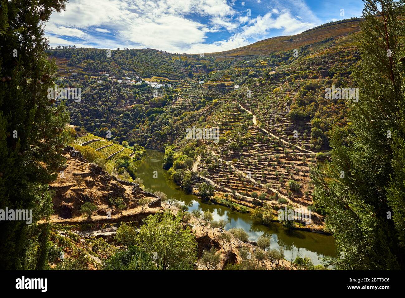 Das Douro River Valley im Norden Portugals ist die Geburtsstätte des Portweins. Die Region ist bekannt für seine Weinreben, Mandelbäume und Olivenbäume. Stockfoto