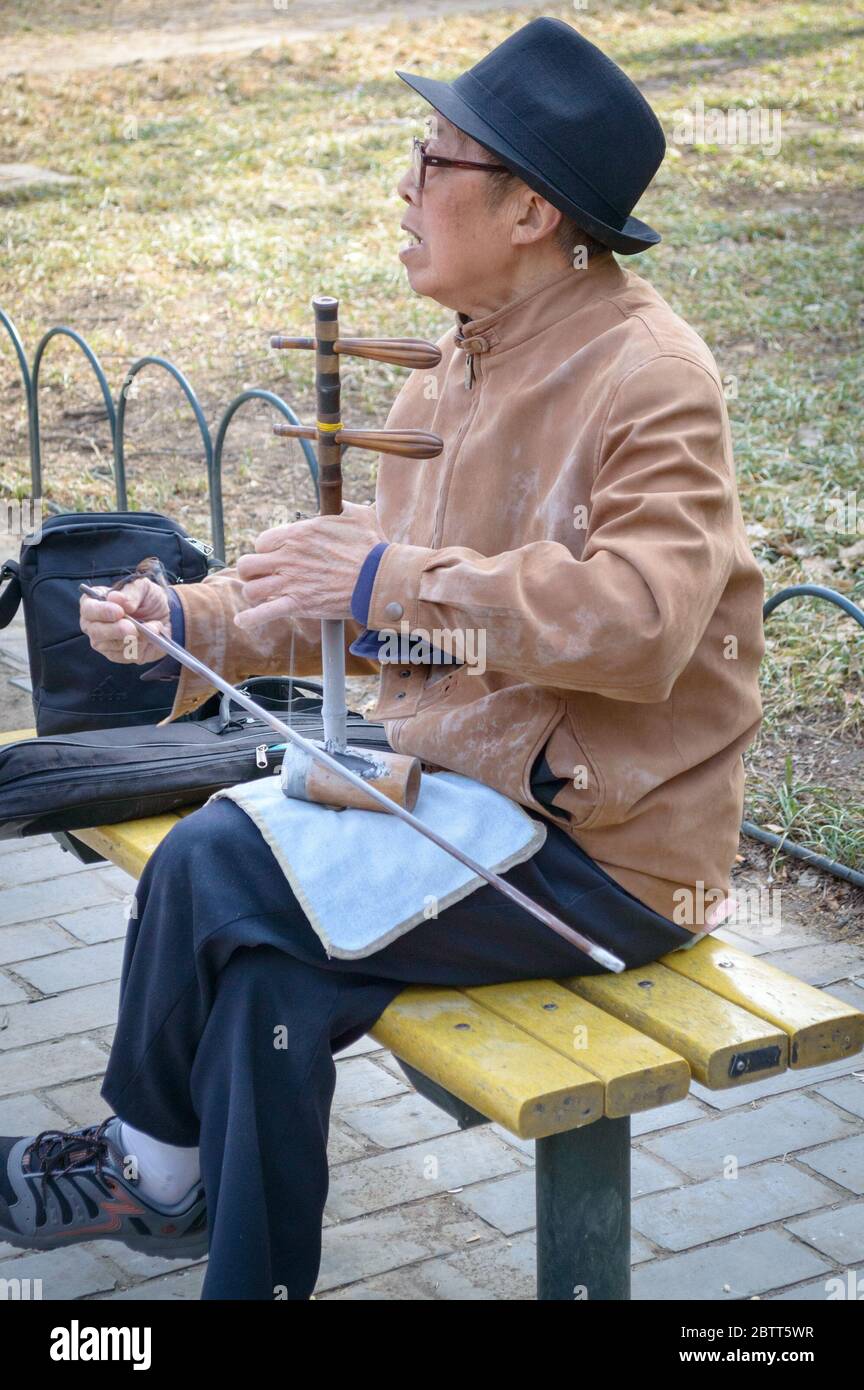 Peking / China - 5. April 2015: Älterer Mann spielt im Himmelstempel in Peking, China, traditionelles chinesisches Instrument Stockfoto