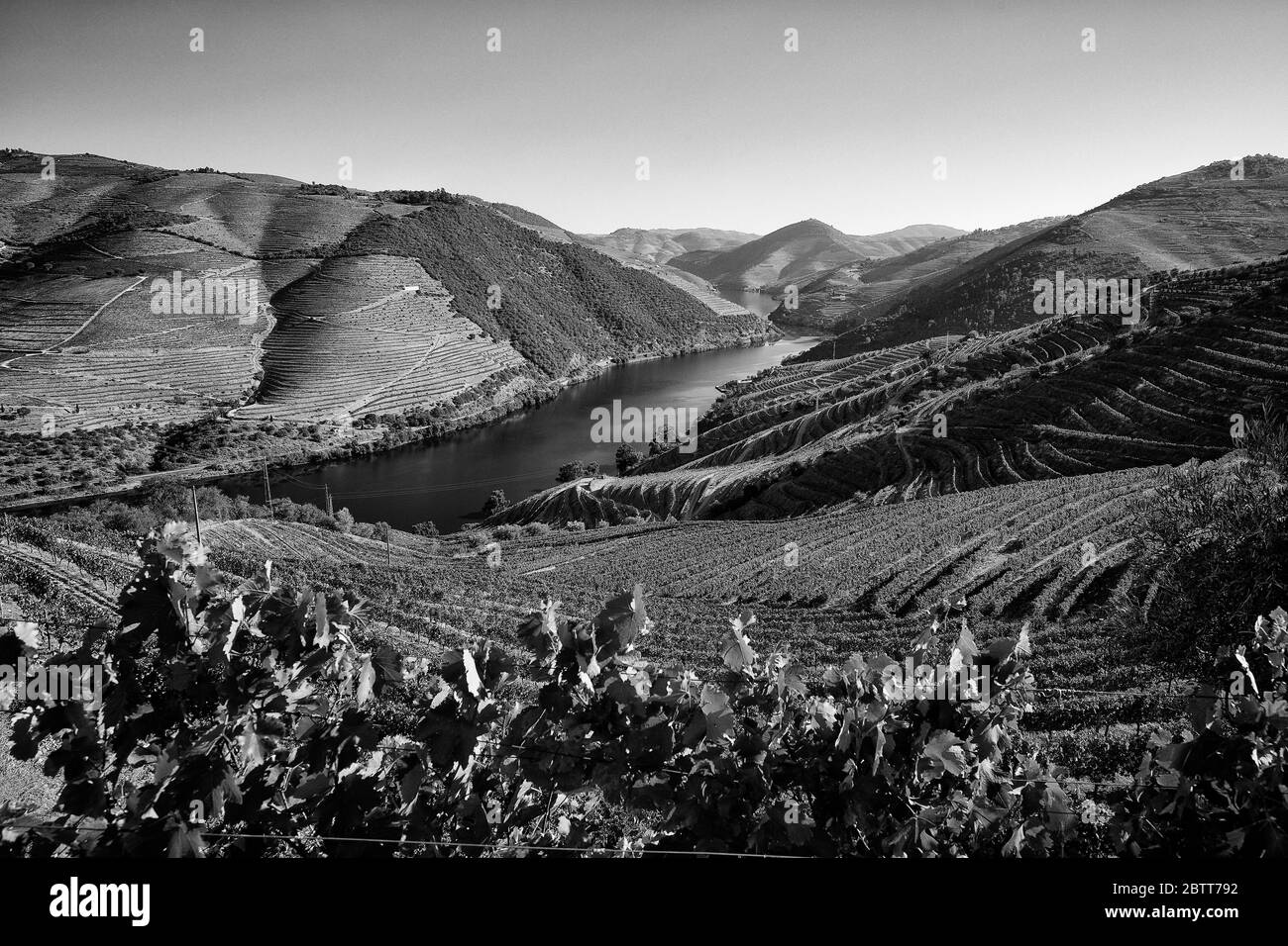 Das Douro River Valley im Norden Portugals ist die Geburtsstätte des Portweins. Die Region ist bekannt für seine Weinreben, Mandelbäume und Olivenbäume. Stockfoto