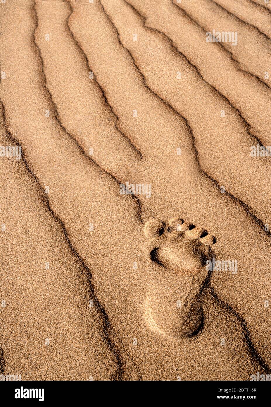 Footprint Sand Beach Urlaub warmes Konzept Fuß drucken in sonnigen Sand Urlaubsstrand eingeprägt Stockfoto