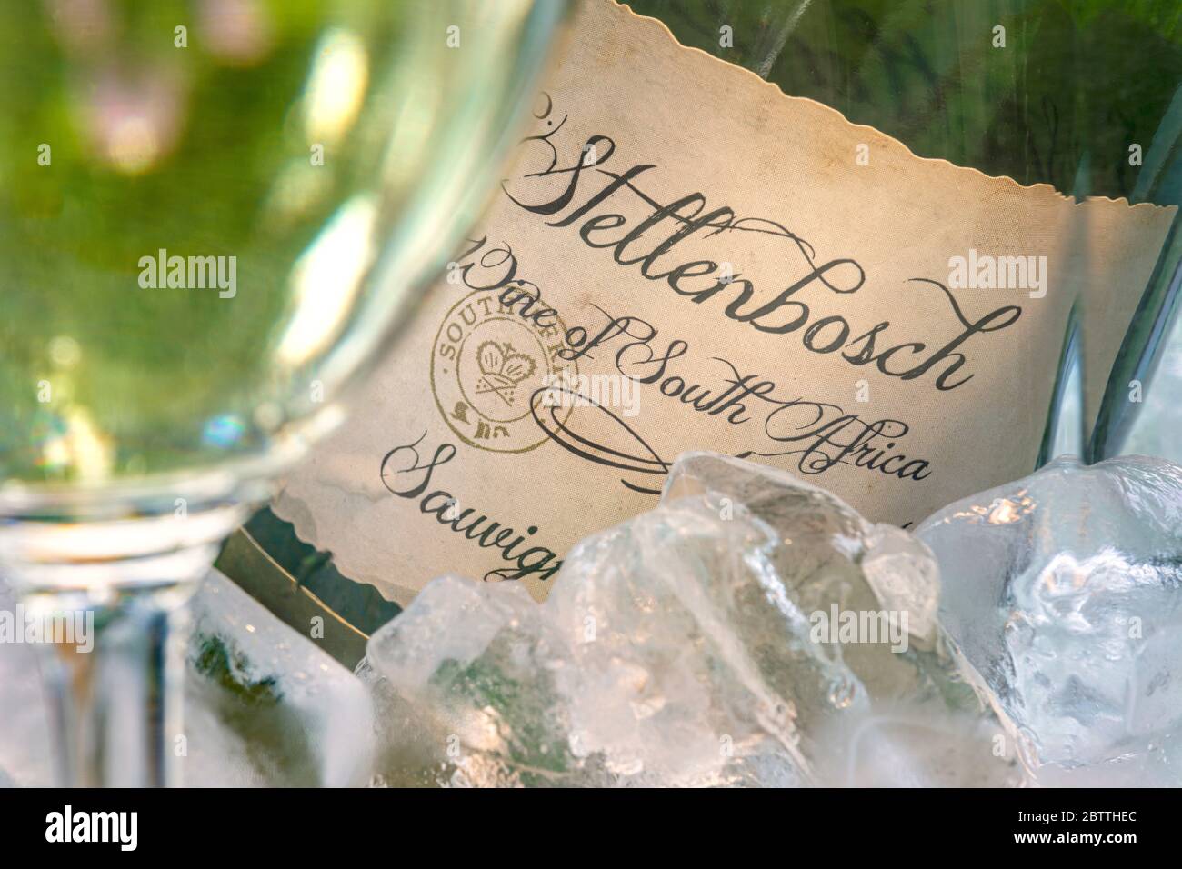 Stellenbosch Südafrika Weißwein Sauvignon Blanc Flasche und Etikett Nahaufnahme im Eiskühler mit Weinglas in sonniger Gartenlage im Freien Stockfoto