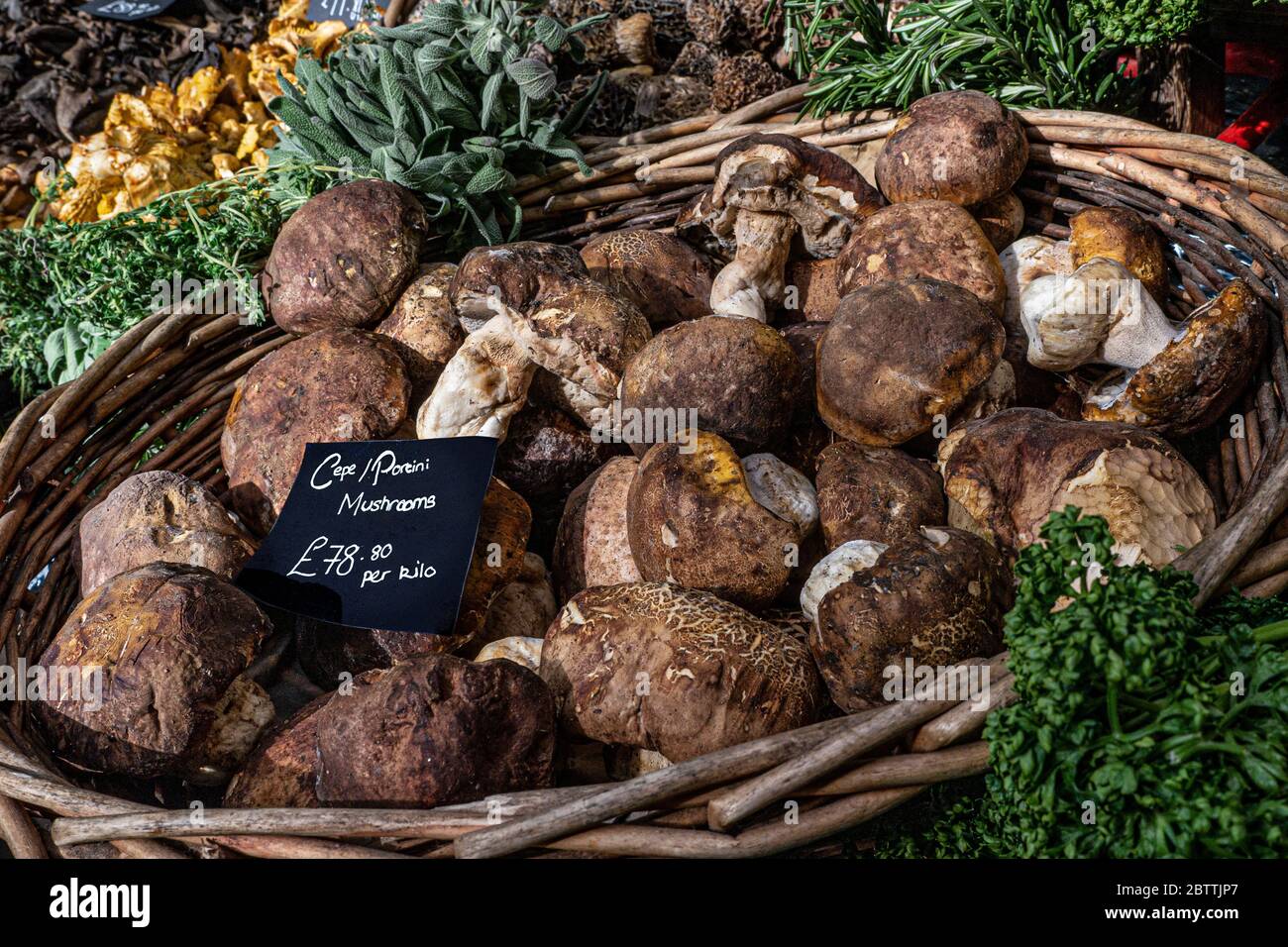 Steinpilze/CEPS Frische Bio-Pilze auf dem Innenraum Display Preis £78.80 pro Kilo in rustikalen Korb in Spezialität hochwertigen Delikatessen in Borough Market Southwark London UK Stockfoto