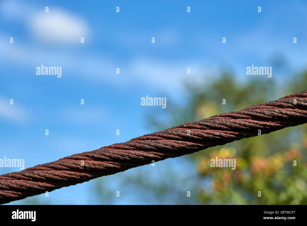 Rostige Drahtseile schützt Gärten, in denen Obstbäume stehen, die reife Früchte tragen, Deutschland. Stockfoto