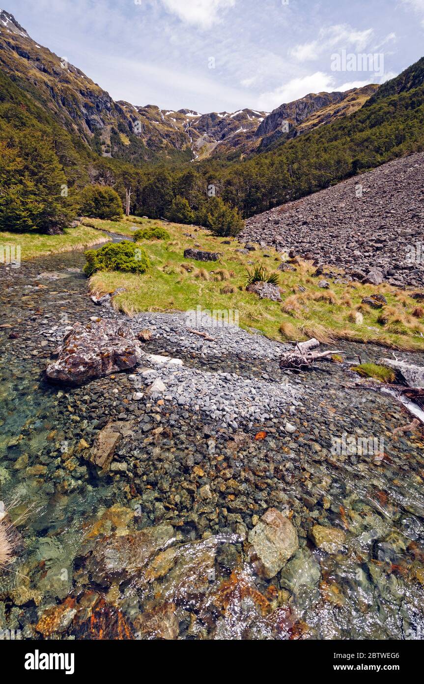 Hukere Stream auf dem Mt Angelus Track in Neuseeland Stockfoto