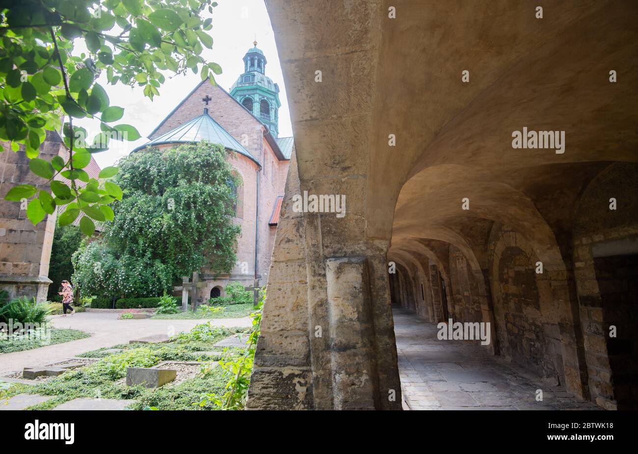 Hildesheim, Deutschland. Mai 2020. Der 1000 Jahre alte Rosenbusch blüht am Hildesheimer Dom (l) neben einem Kreuzgang. Die wilde Heckenrose an der Kirchenmauer ist in voller Blüte. Nach der Tradition war es einem Sohn Karls des Großen nicht gelungen, während einer Rast um 815 einen Reliquienschrein von den Rosen zu befreien. Deshalb ließ er eine Kapelle auf dem Gelände errichten, später wurde die Kathedrale gebaut. Tatsächlich ist der Rosenbusch laut aktueller Forschung höchstens 700 Jahre alt. Kredit: Julian Stratenschulte/dpa/Alamy Live News Stockfoto