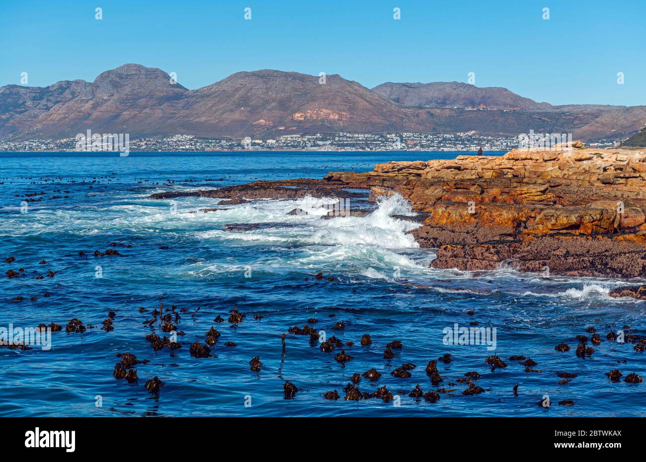 Starke Wellen, die an den Klippen entlang der Kalk Bay, Kapstadt, Südafrika, krachen. Stockfoto