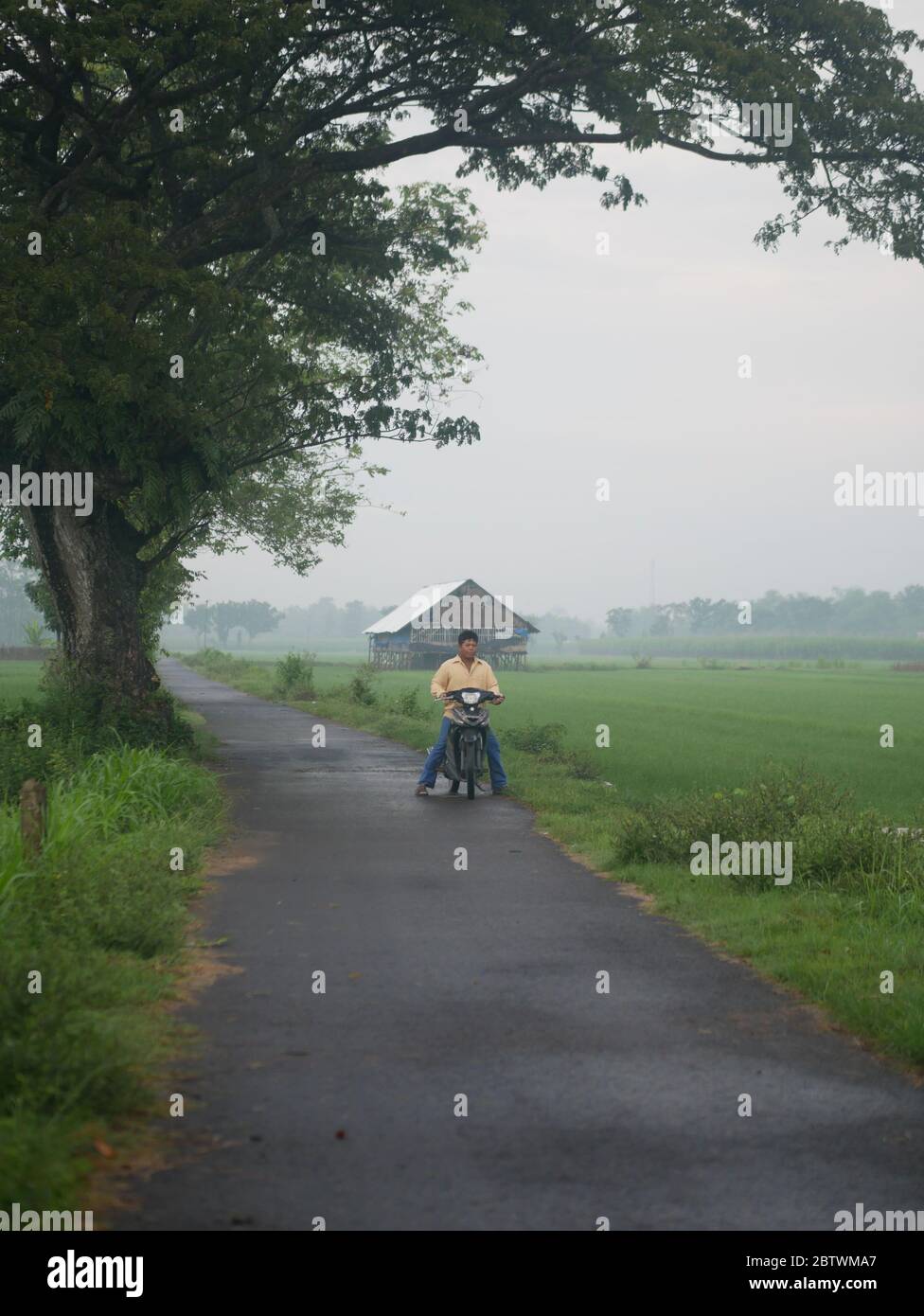 Am Morgen nach dem Regen im Feld Stockfoto