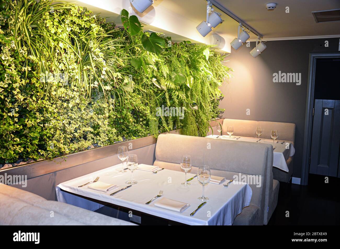 Restaurant mit Wand aus grünen Pflanzen. Design im Öko Café oder ...