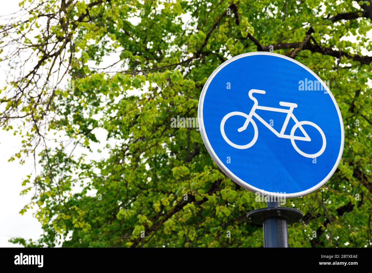 Nachhaltiger Verkehr. Blaues Straßenschild oder Signal der Fahrradweg mit grünen Bäumen und Natur Hintergrund Stockfoto