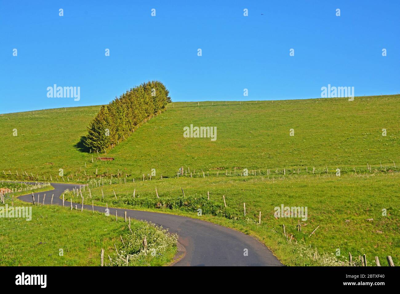 Bergstraße, Cezallier, Puy-de-Dome, Auvergne, Frankreich Stockfoto