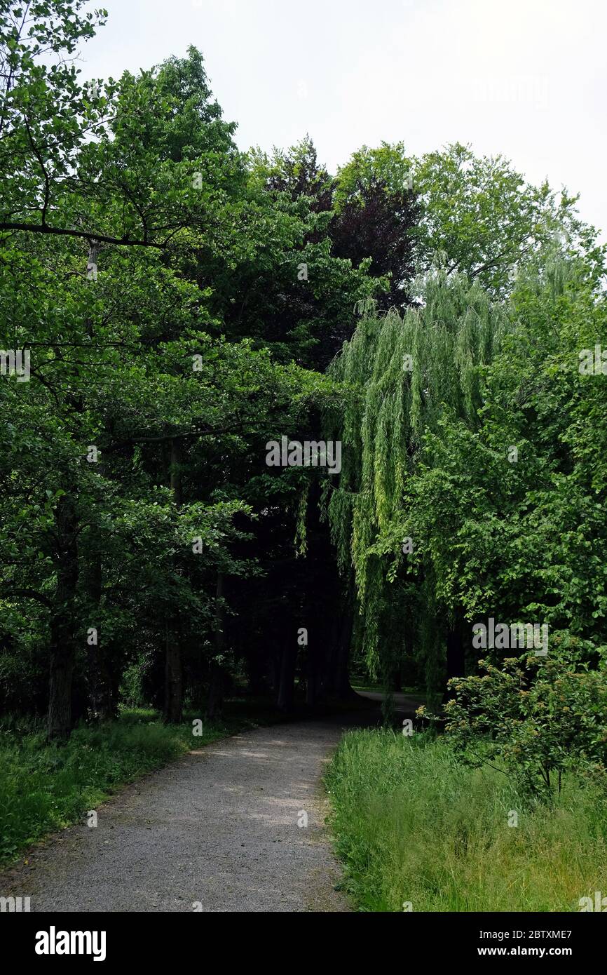 Schattiger Weg durch einen Park im Frühling Stockfoto
