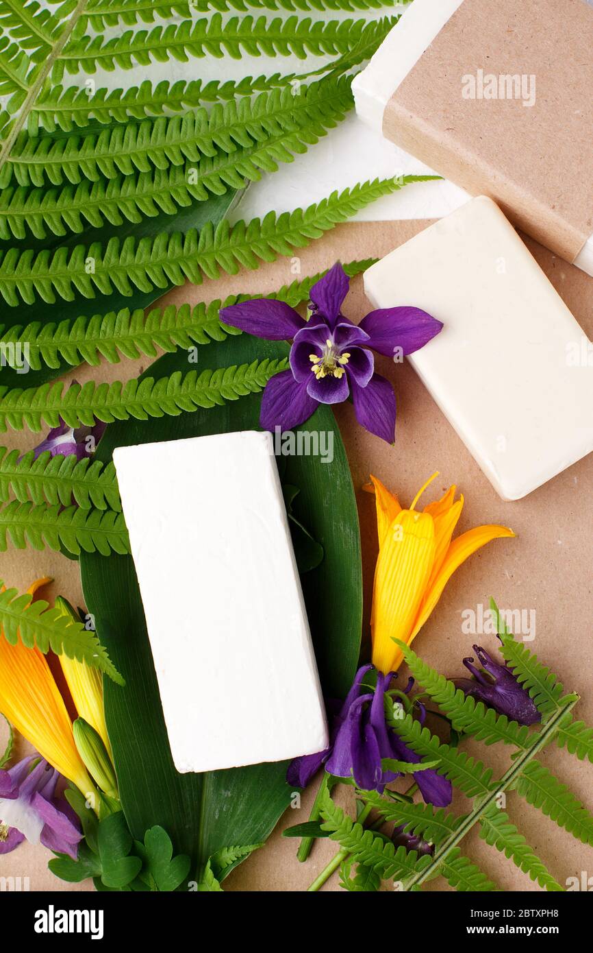Kosmetische feste sopa oder Shampoo Bars Produkt, Pflanzen, Blumen auf Papier Handwerk Hintergrund. Bio natürliche Schönheit Konzept. Pflanzliche Medizin, Selbstpflege FOC Stockfoto