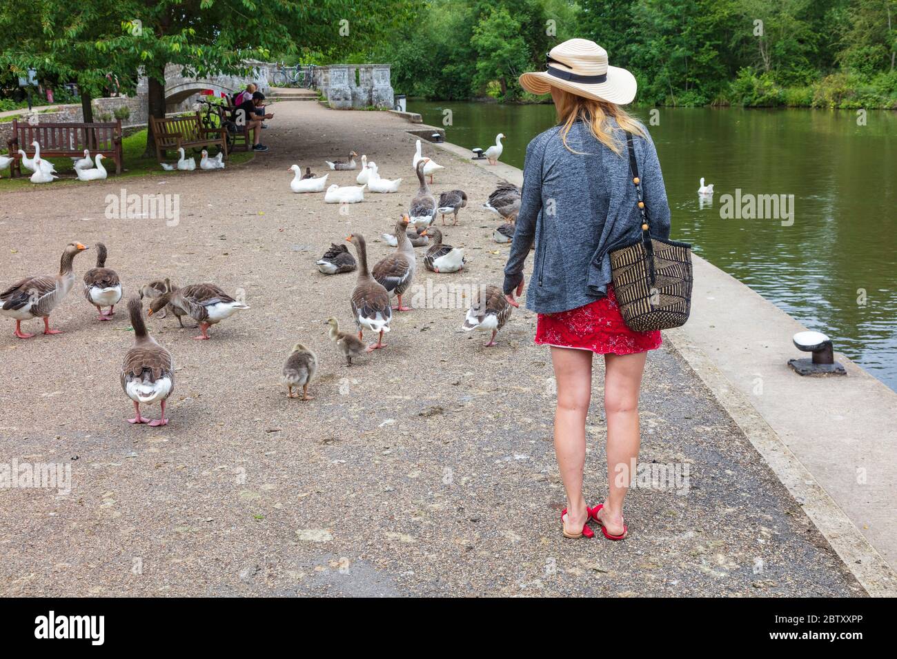 Eine attraktive Frau in Iffley Lock wendet sich, um die Gänse auf dem Schleppweg, Iffley, Oxford, Oxfordshire, Großbritannien, zu betrachten. Stockfoto