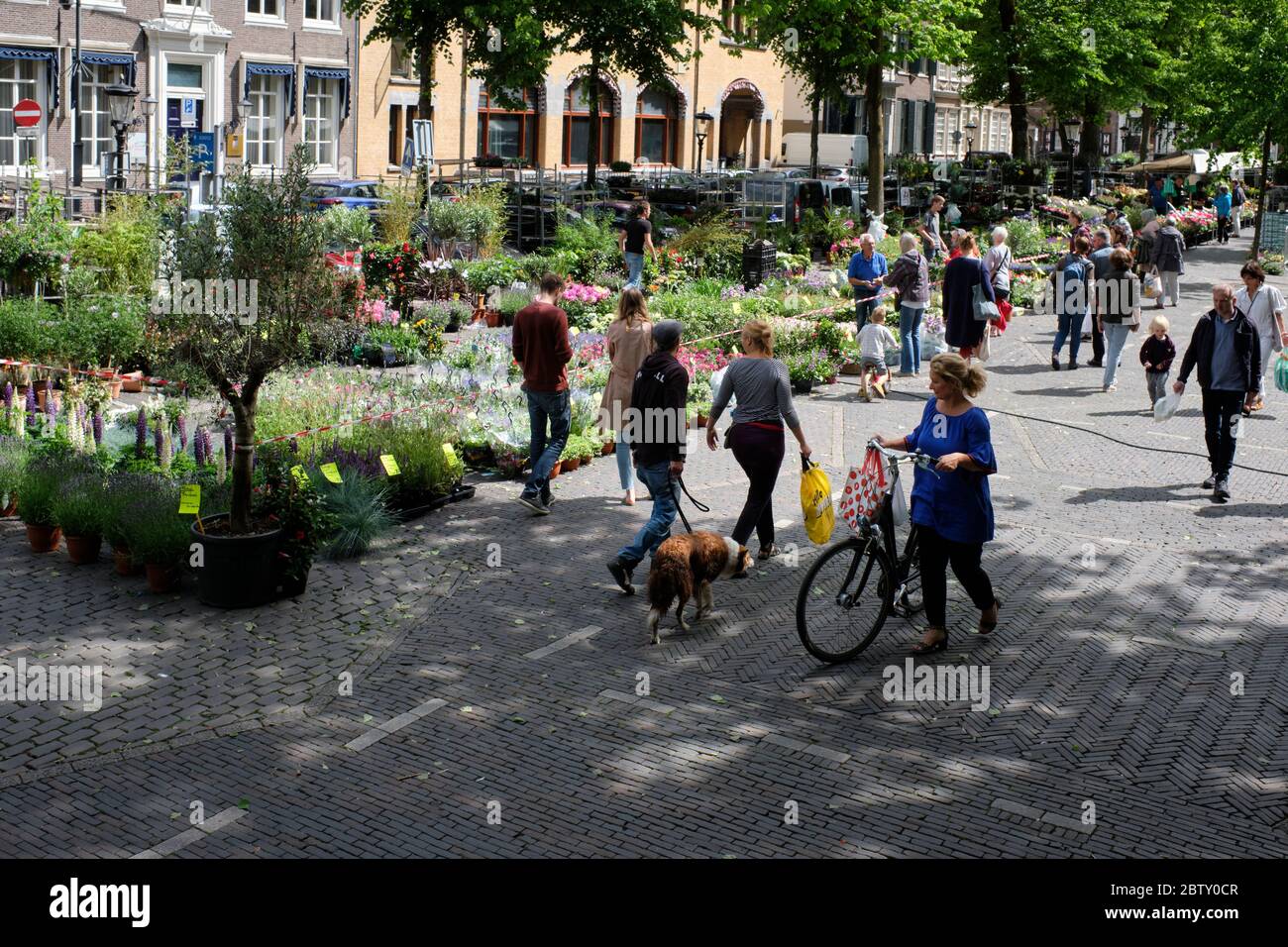 Der wiedereröffnete bunte Blumenmarkt in der Stadt Utrecht, Niederlande, Ende Mai 2020 als Corona Maßnahmen haben gelockert. Stockfoto