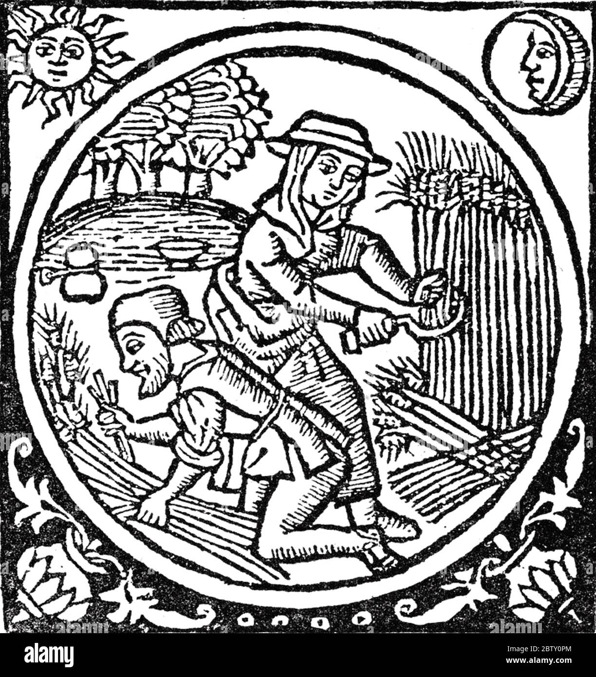 MITTELALTERLICHE ERNTE. Die Frau schneidet das Getreide, während der Mann es in Garben bindet. Sonne und Mond deuten darauf hin, dass die Ernte von Hand lange gedauert hat Stockfoto