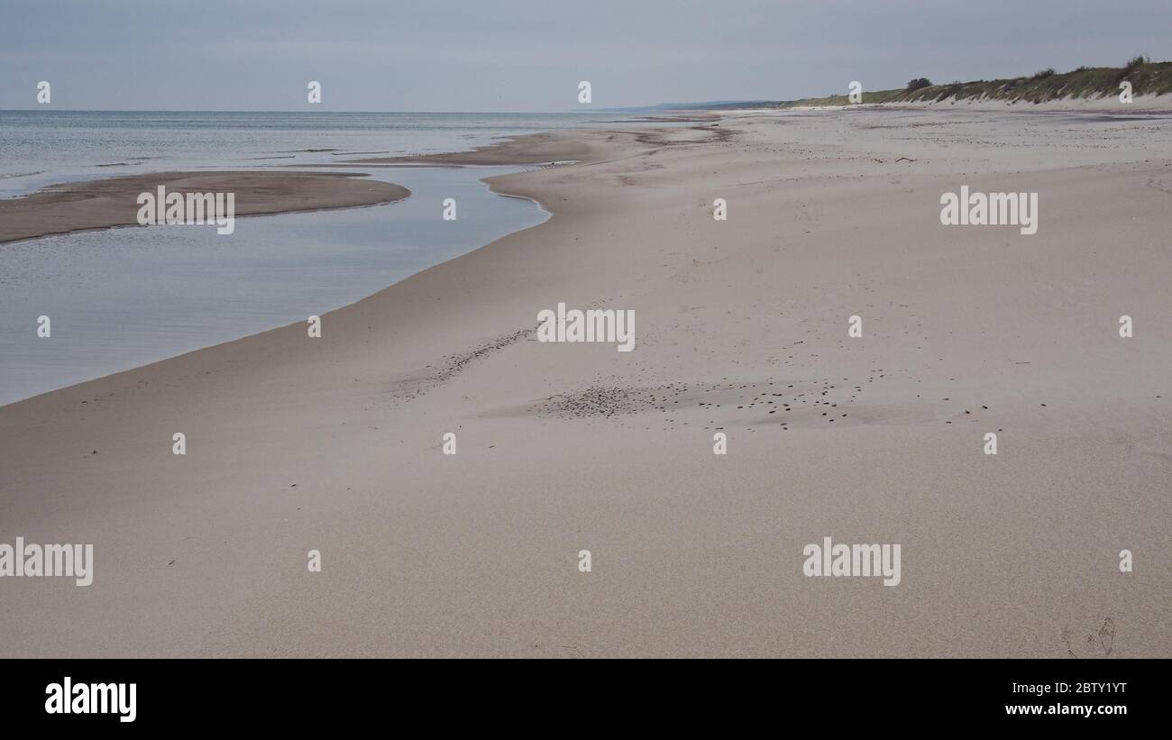 Der Sandstrand der Kurischen Nehrung (Nida, Litauen). Ostseeküste. Stockfoto