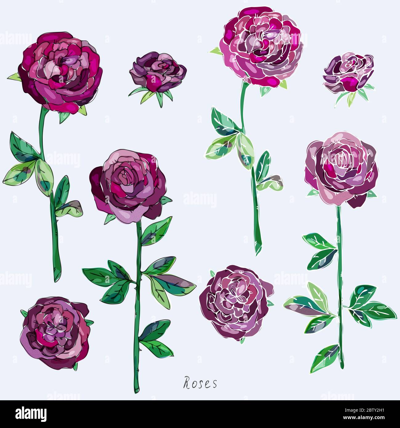 Kastanienbraune, lila, burgunderrote Rosen mit grünen Blättern und Stielen auf grauem Hintergrund. Imitation von Aquarell. Nahtloses Muster. Vektorgrafik. EPS10 Stockfoto