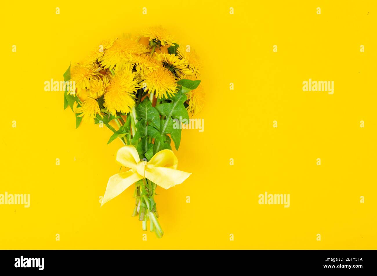 Bouquet von blühendem gelben Löwenzahn. Studio-Foto Stockfoto