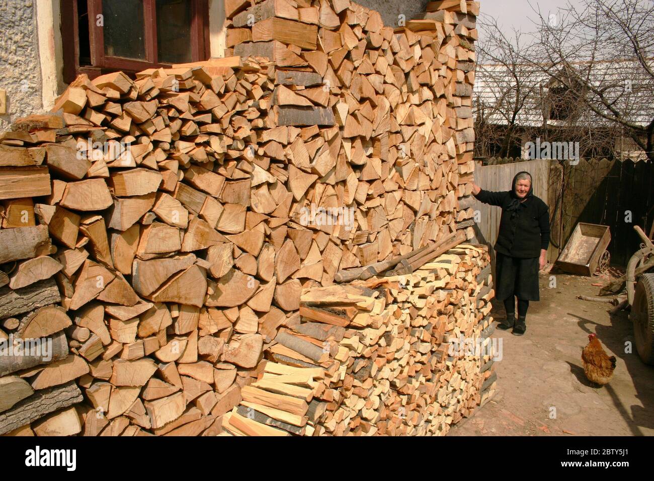 Frau auf dem Land in Rumänien in der Nähe von Haufen von Brennholz im Hof gestapelt Stockfoto