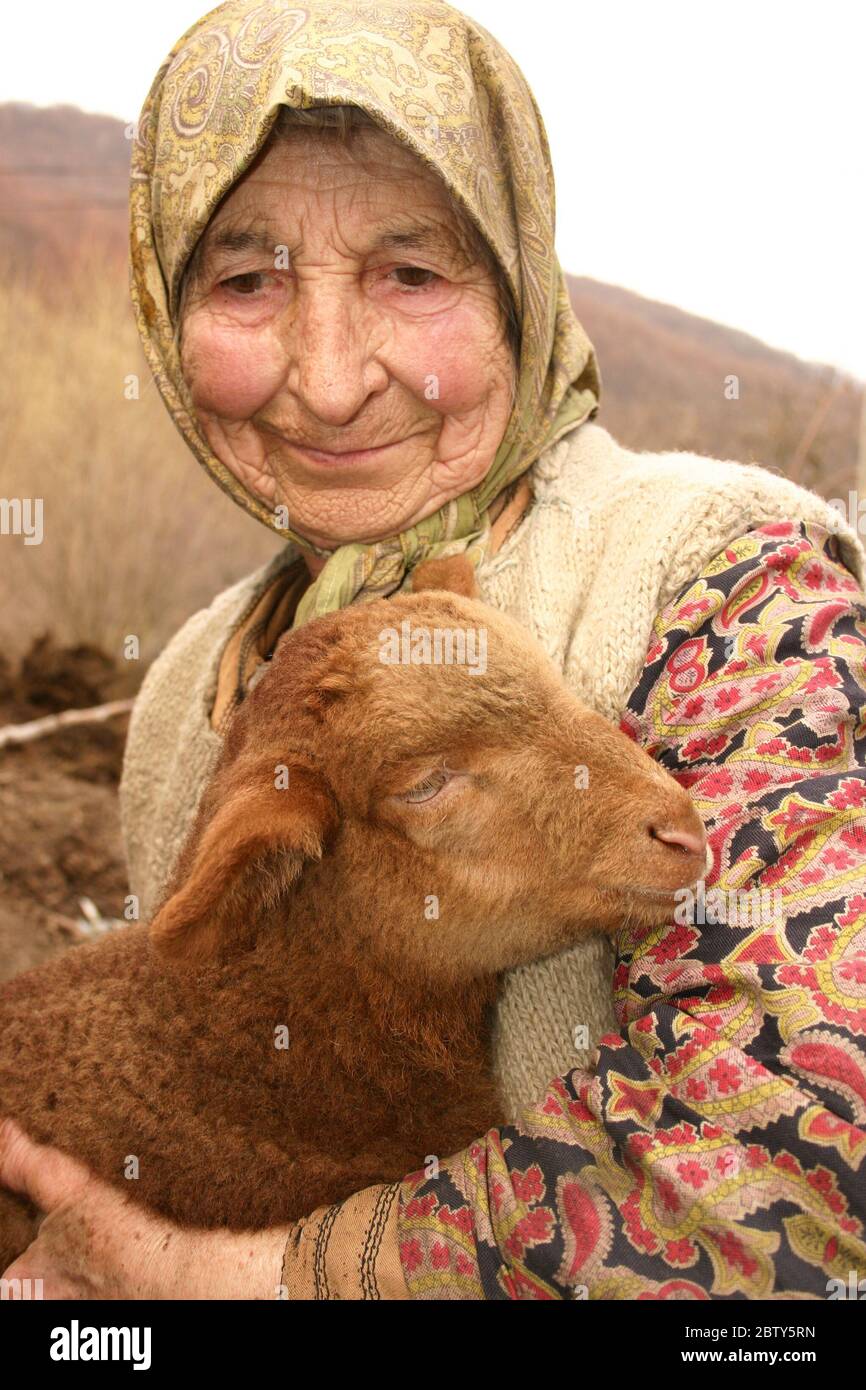 Covasna County, Transylvania, Rumänien. Porträt einer alten Frau mit einem Lamm. Stockfoto