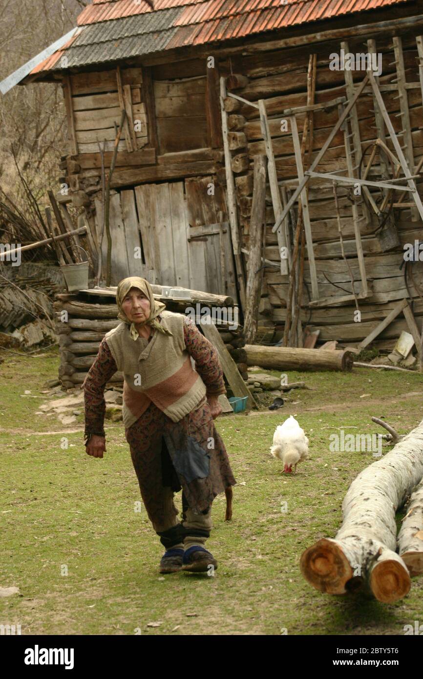 Covasna County, Transylvania, Rumänien. Alte Frau arbeitet in ihrem Hof. Stockfoto