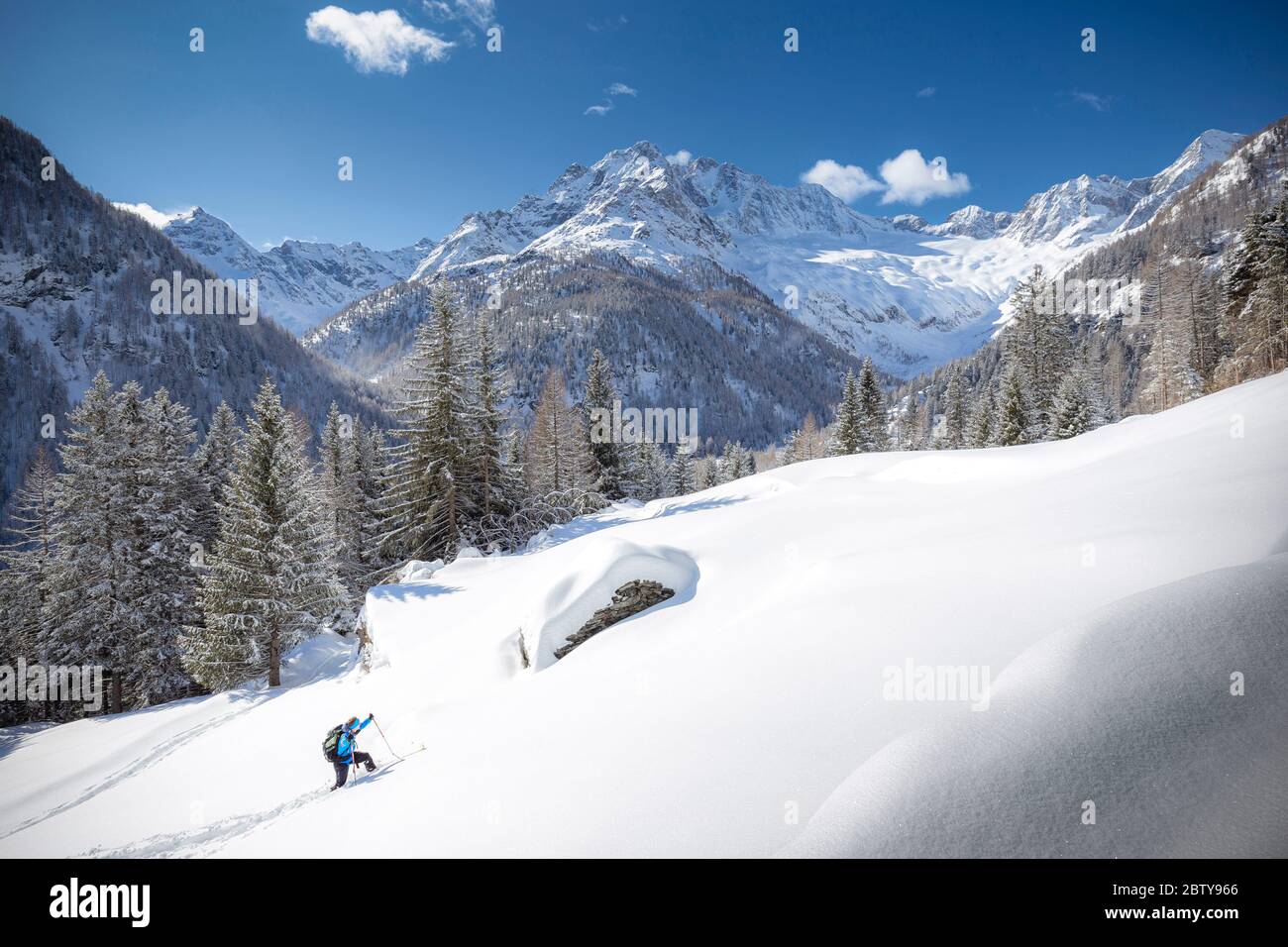 Junge Skifahrer Fortschritte im Neuschnee, Chiareggio, Valmalenco, Valtellina, Lombardei, Italien, Europa Stockfoto