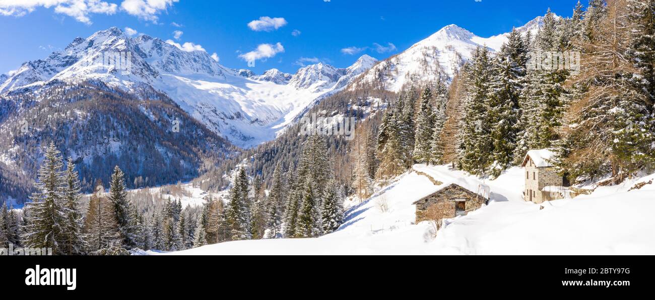 Winterlandschaft nach Schneefall mit Blick auf die Gruppe von Disgrazia, Chiareggio, Valmalenco, Valtellina, Lombardei, Italien, Europa Stockfoto