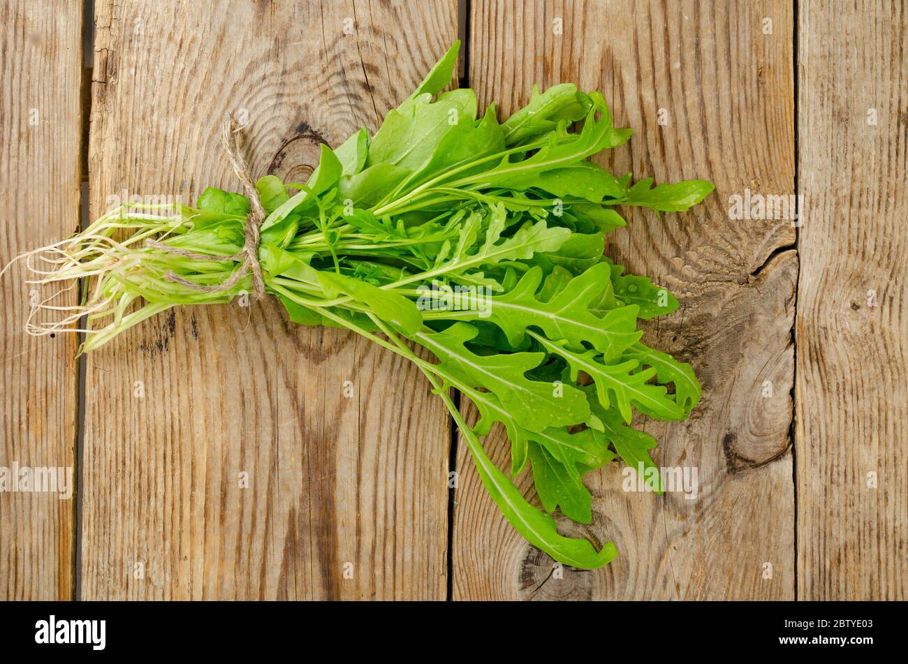 Bund frischer grüner Rucola. Foto in Studio Stockfoto