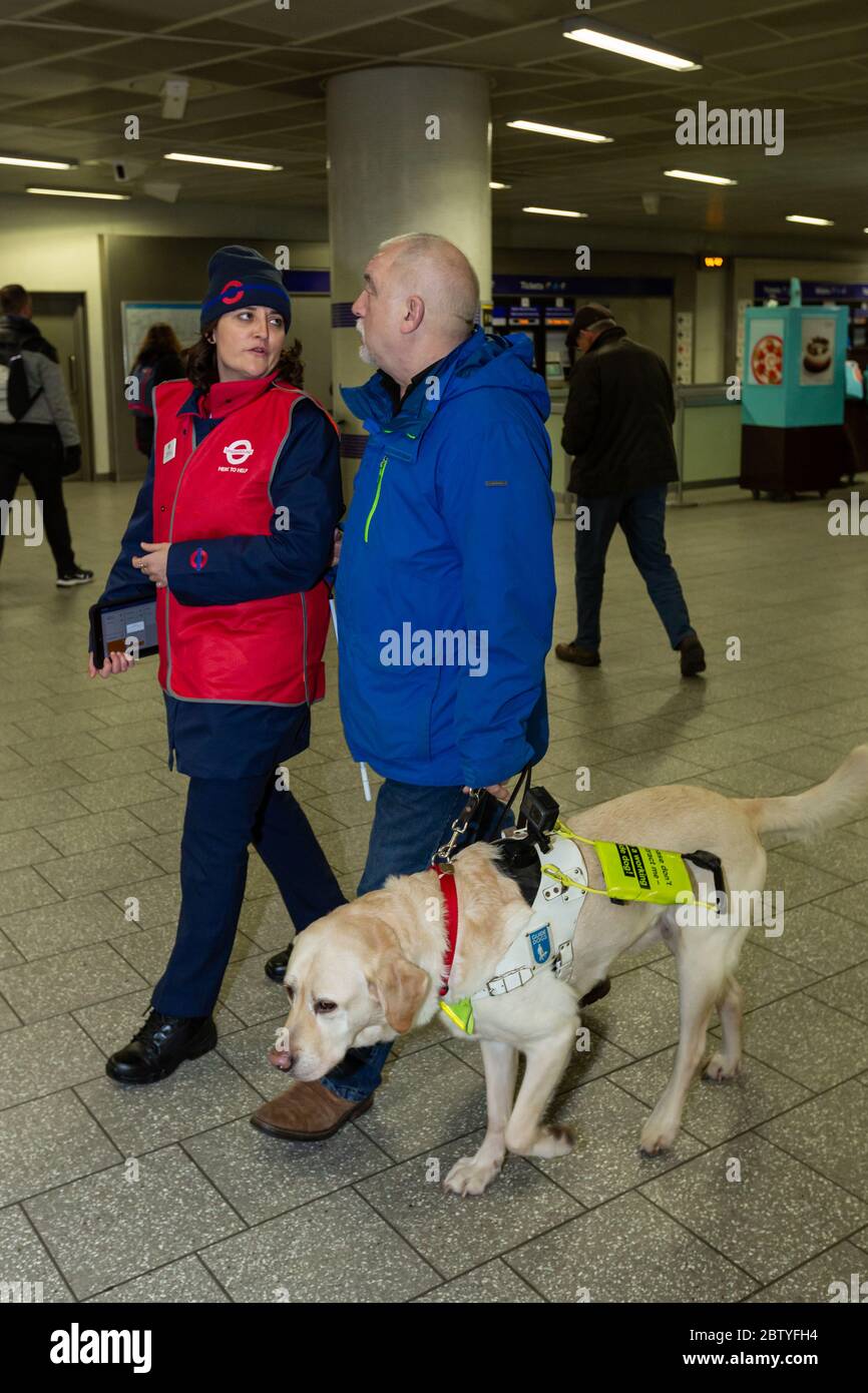 CSA gibt Hilfe für einen Guide Dog Benutzer in King's Cross St Pancras Stockfoto