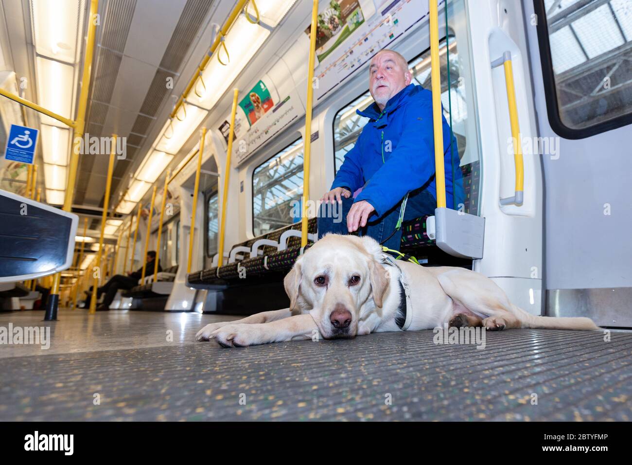 Guide Dog auf dem Boden eines U-Bahn-Zuges Stockfoto