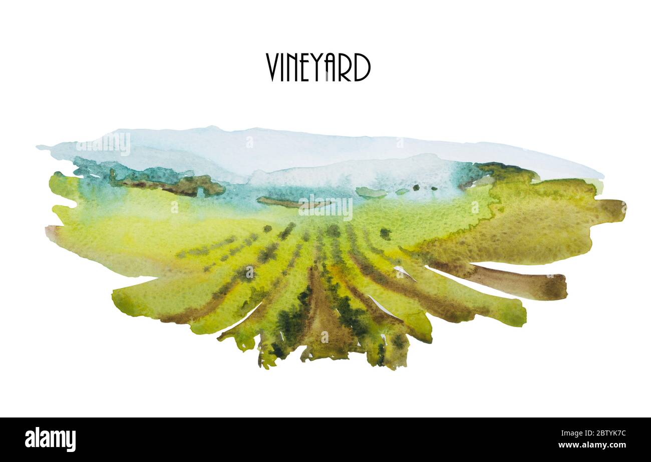 Aquarelllandschaft mit grünen Weingärten und blauen Bergen. Originaldarstellung der Weinberge im Hintergrund Stockfoto