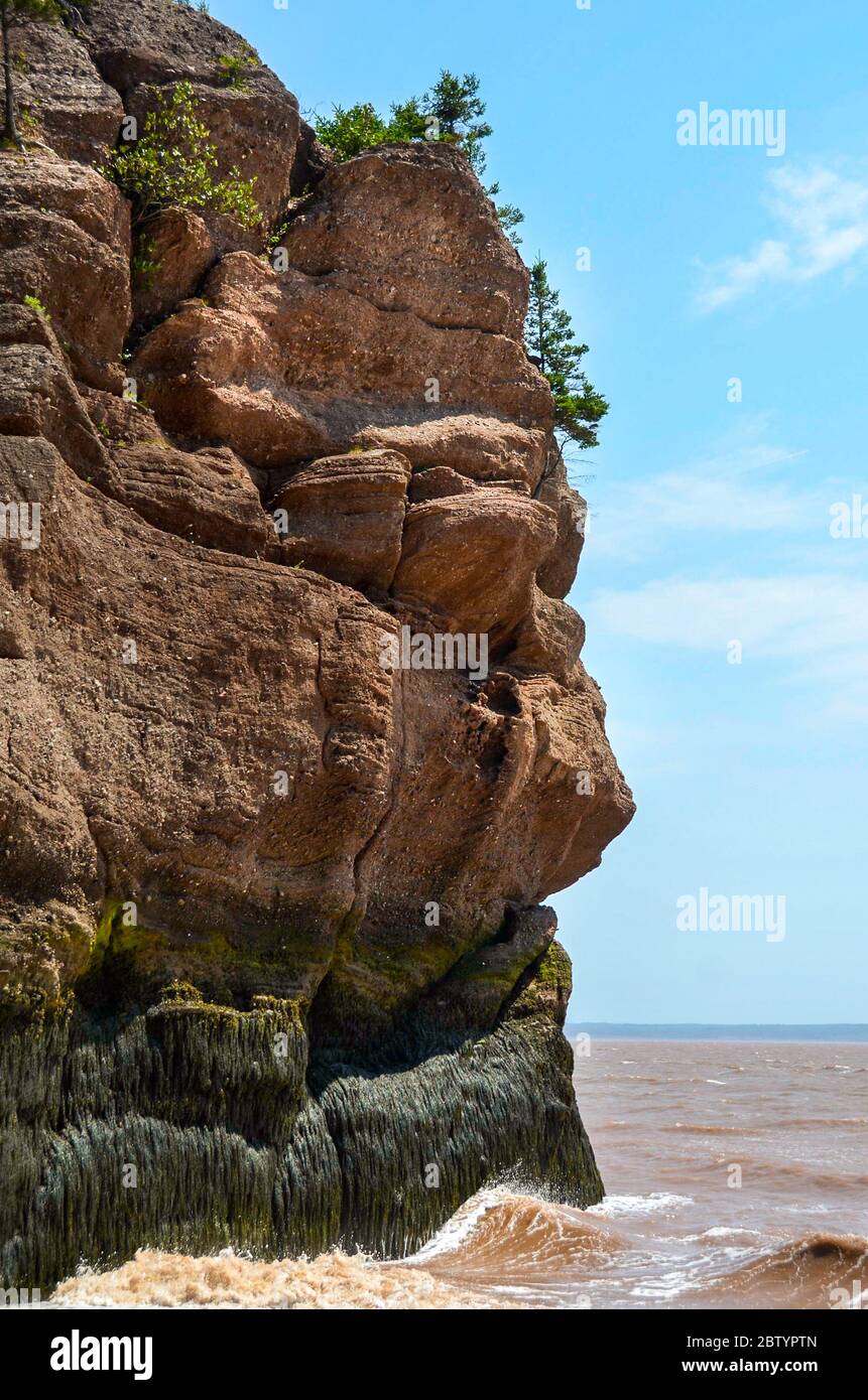 Riesige, wunderschöne Felsformationen im Hopewell Rocks Park in New Brunswick, Kanada - Kanadisches Reiseziel - Kanadische Landschaft Stockfoto