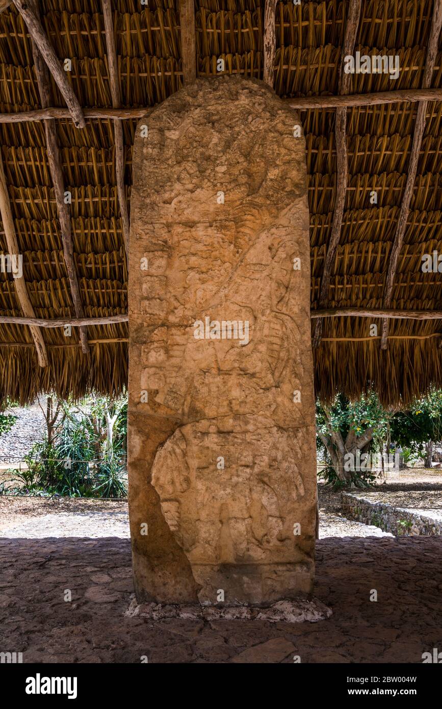 Stele mit original alten Schnitzereien in den Maya-Ruinen von Ek Balam, Yucatan, Mexiko Stockfoto