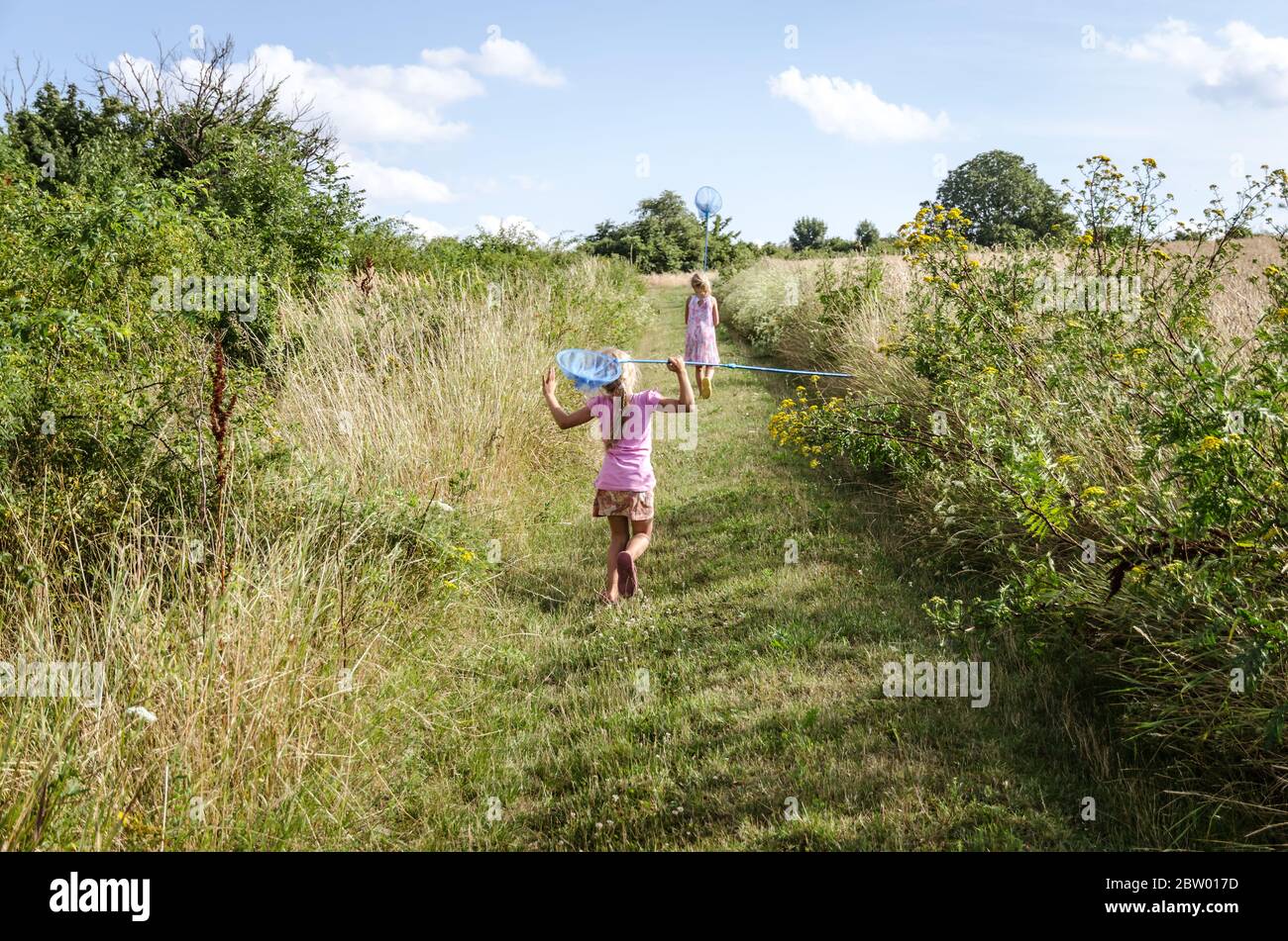 Zwei kleine Kinder mit Netzen in der Hand fangen Schmetterlinge in der grünen Landschaft Stockfoto