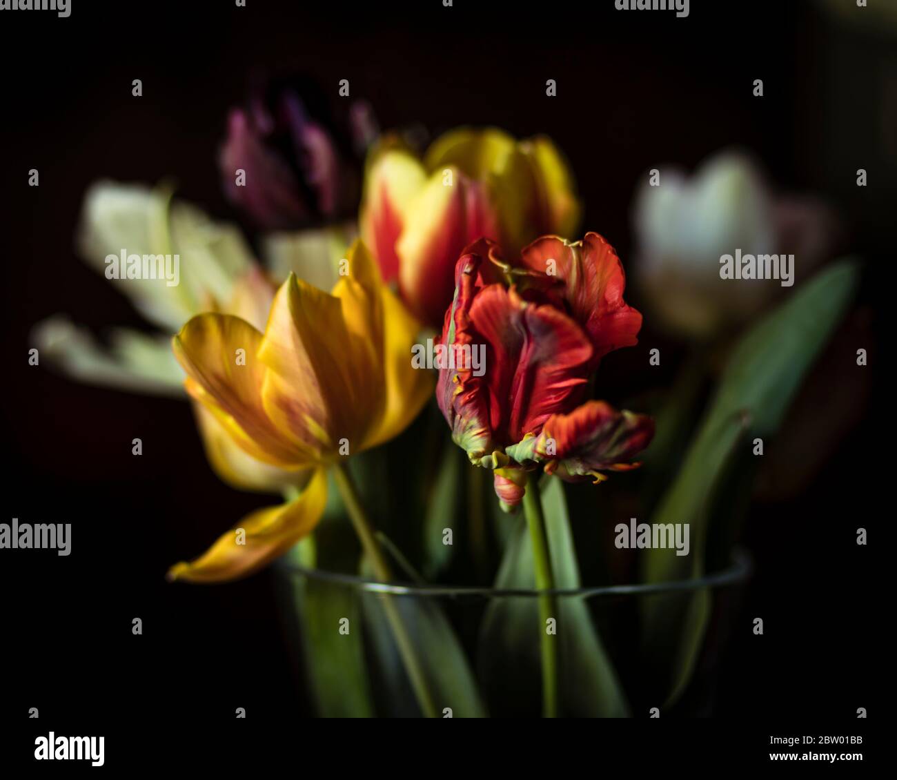 Tulpen in einer vase Stockfoto