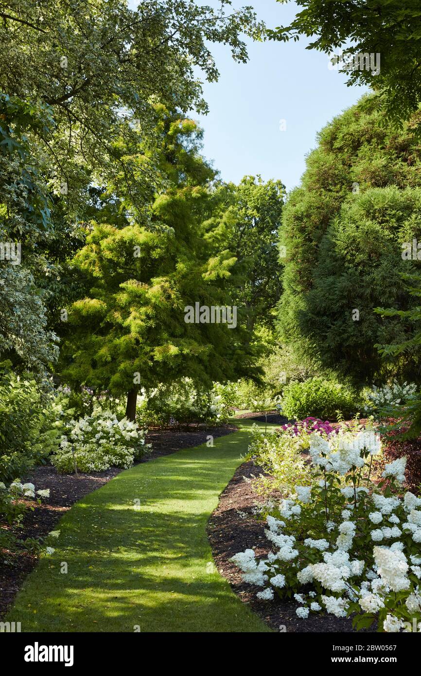 The Savill Garden, Windsor Great Park, Surrey, England Stockfoto