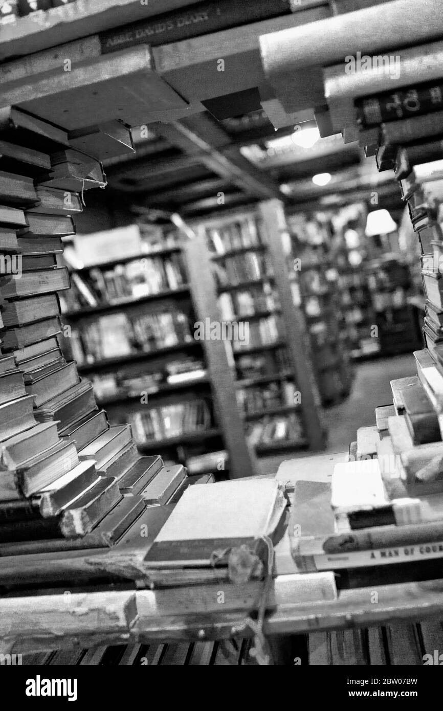 The Last Bookstore luftiger Buch- und Plattenladen, der neue und gebrauchte Gegenstände in einem mehrstufigen Raum mit lokaler Kunst in Los Angeles, CA, anbietet Stockfoto