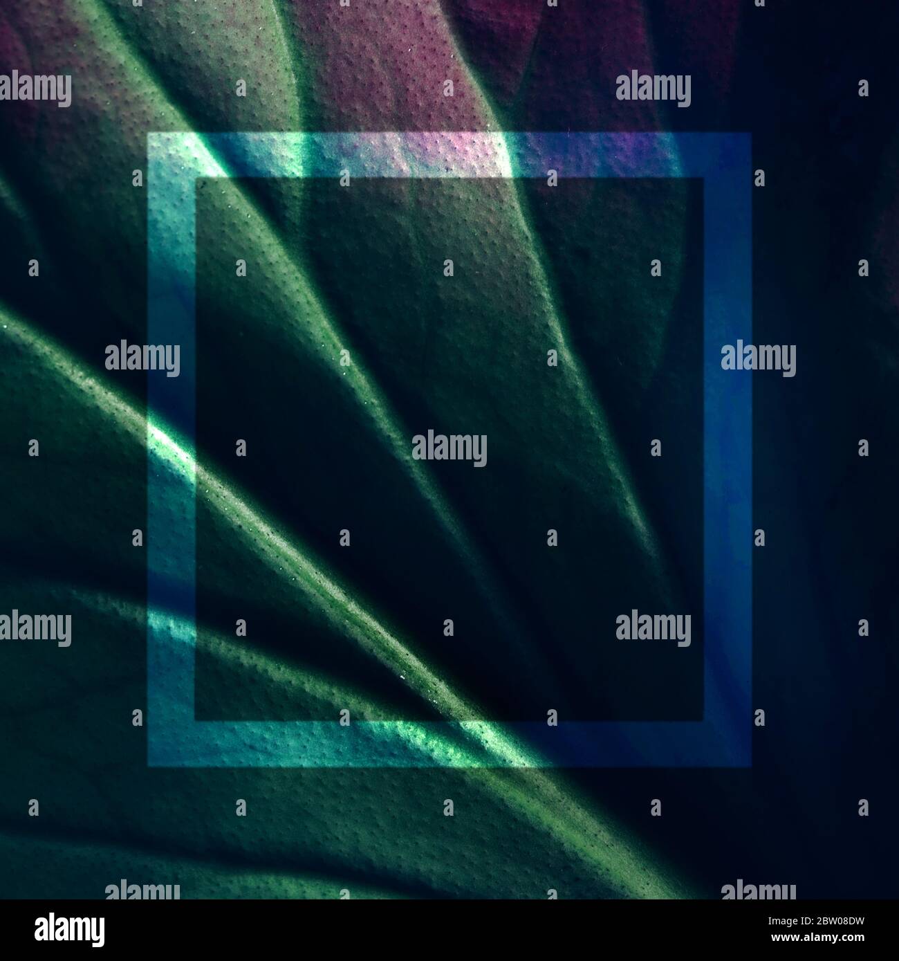 Kreative fluoreszierende Farblayout aus Blatt Textur Nahaufnahme gemacht. Naturkonzept Stockfoto