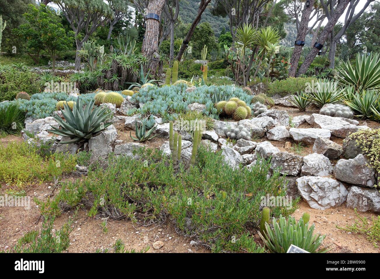 Steingarten in den Alameda Gärten in Gibraltar Stockfoto