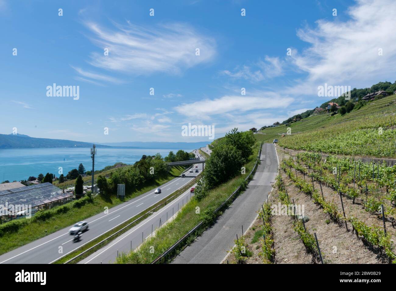 Blick auf Die Weinberge in der Nähe von Lausanne, Schweiz Stockfoto