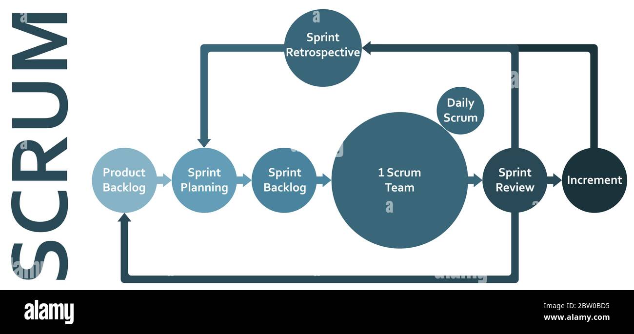 Scrum Framework Methodology Lebenszyklus flaches Diagramm Schema Infografiken mit Rückstand, Sprint, Planung, Überprüfung, Inkrement und retrospektiv. Stock Vektor