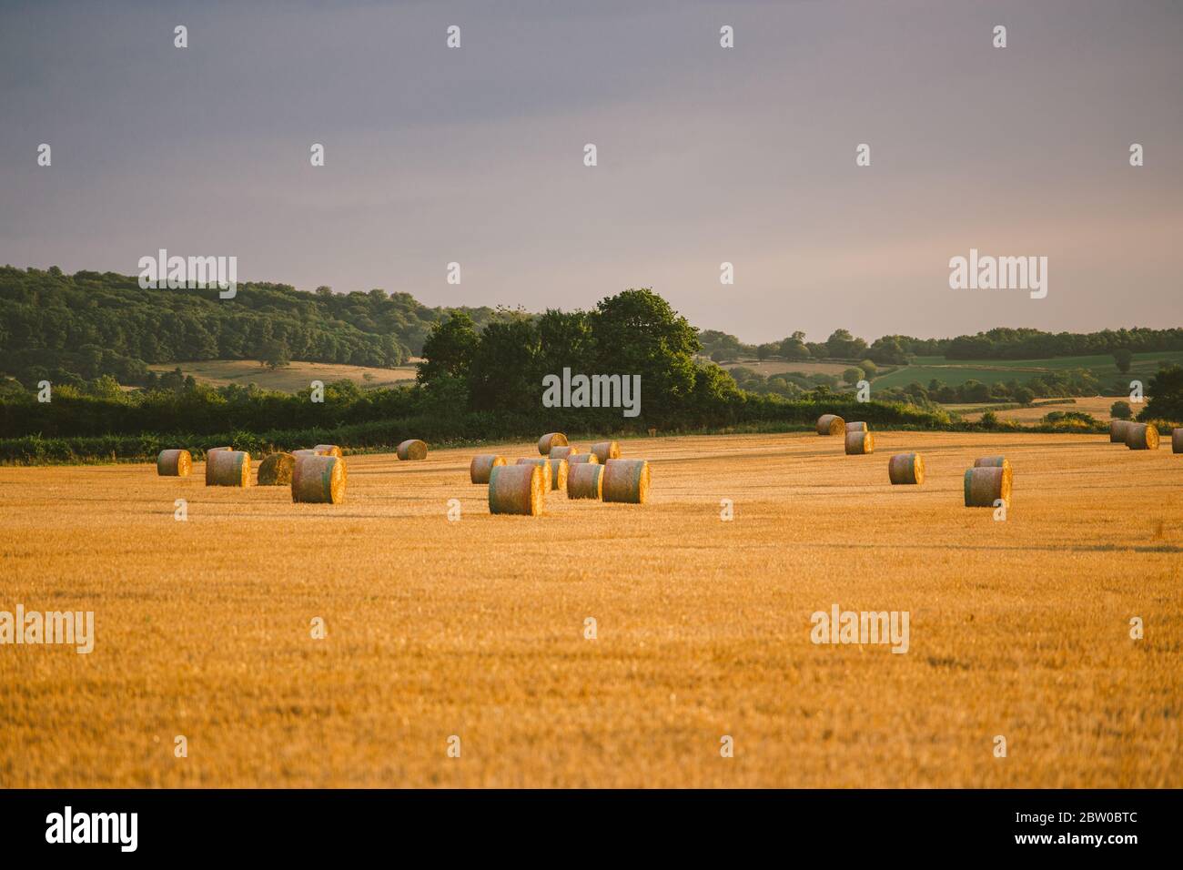 Heuballen draußen auf dem Feld in Burgund. Goldene Heuballen in der französischen Landschaft. Geerntetes Feld mit Strohballen in Frankreich. Mahlt Stroh ein Stockfoto