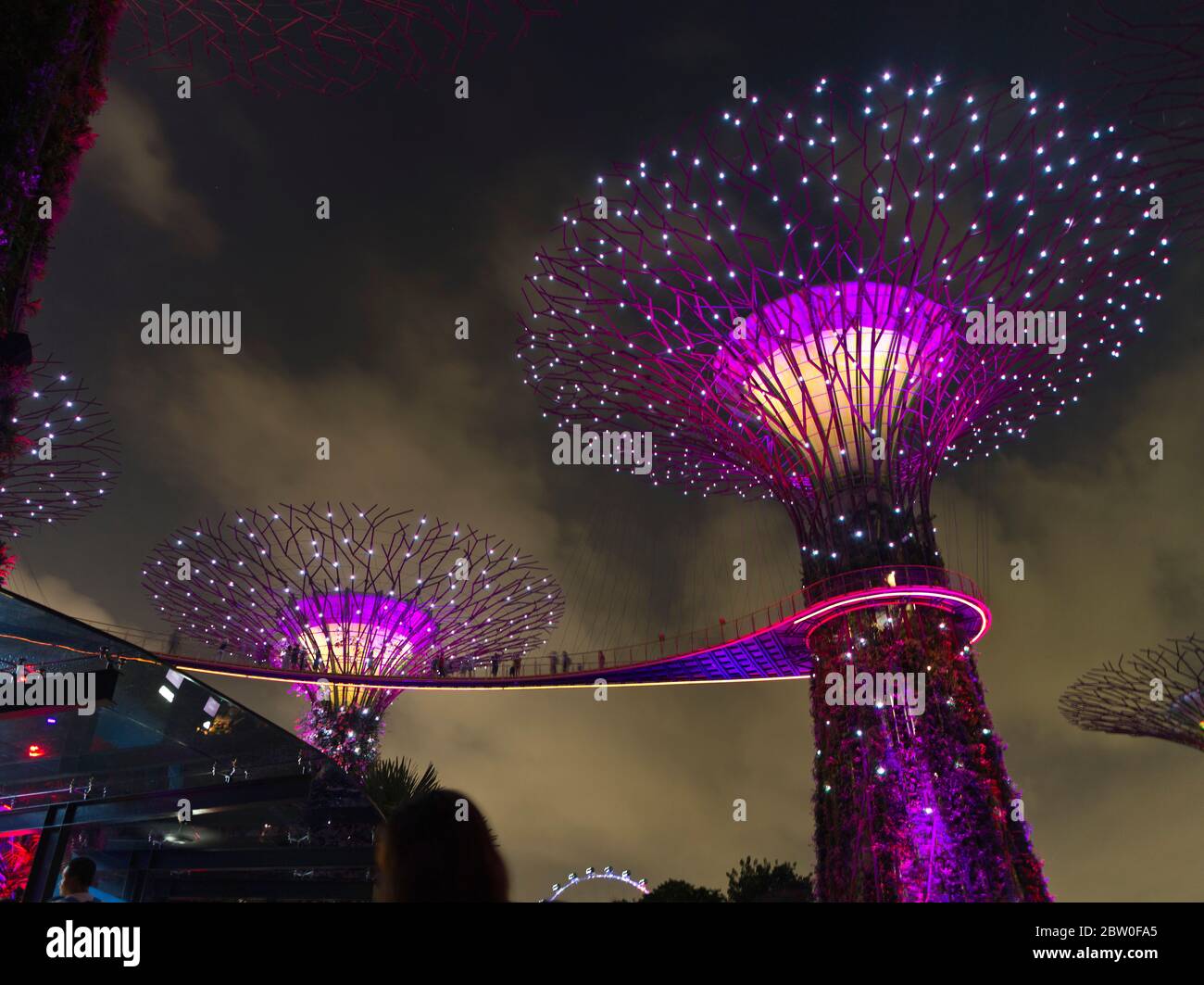 dh Supertree Night Light Show GARDEN BY THE BAY SINGAPORE Super Tree Grove in supertrees Sky Gardens Stockfoto